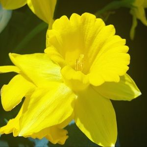 Meet your Posher, Eva